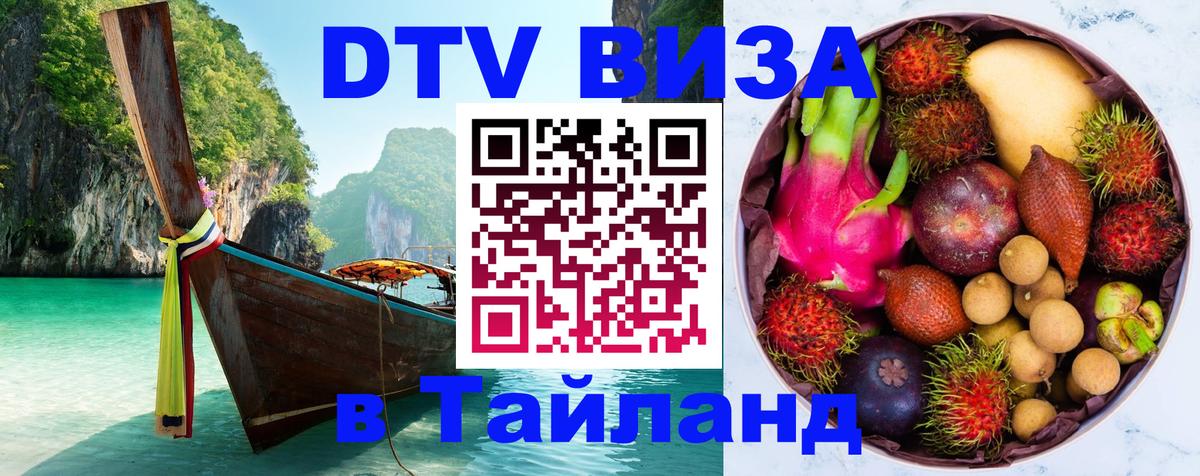 Оформление DTV визы под ключ: стоимость и тарифы, только загранпаспорт - 